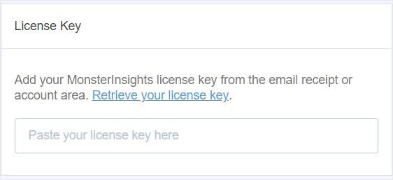 monsterinsights license key