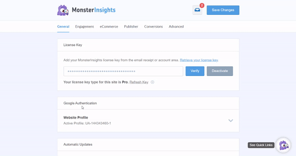 visitor notification with monsterinsights Contextual Insights